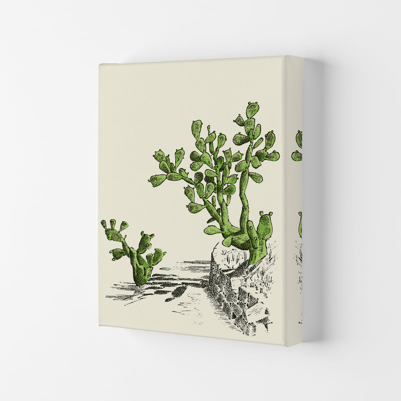 Prickly Pear Cactus Art Print by Jason Stanley Canvas