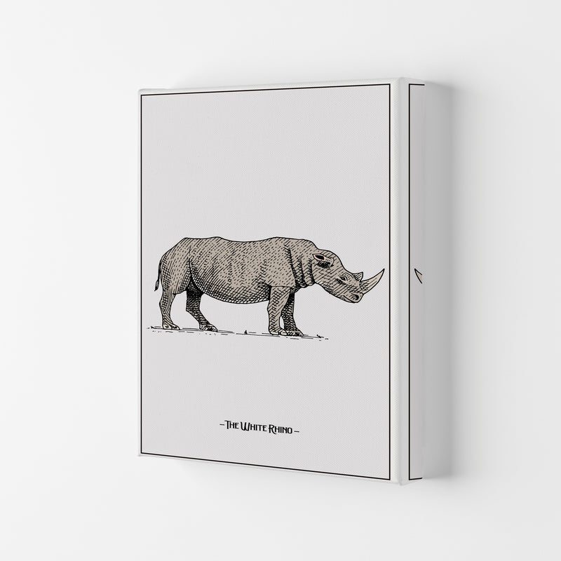 The White Rhino Art Print by Jason Stanley Canvas