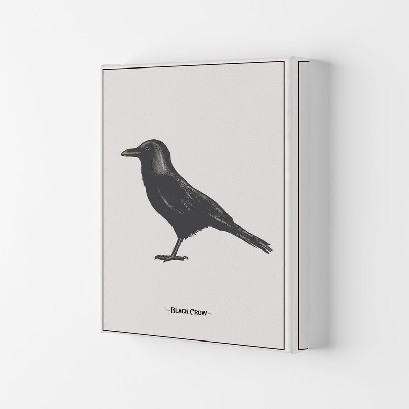 The Black Crow Art Print by Jason Stanley Canvas