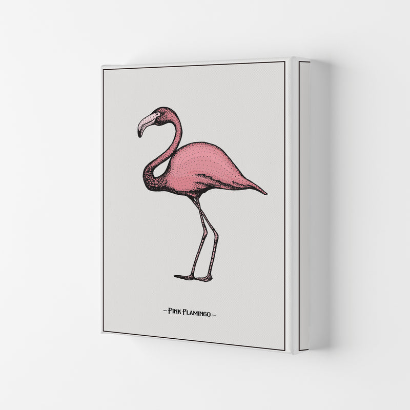Pink Flamingo Art Print by Jason Stanley Canvas