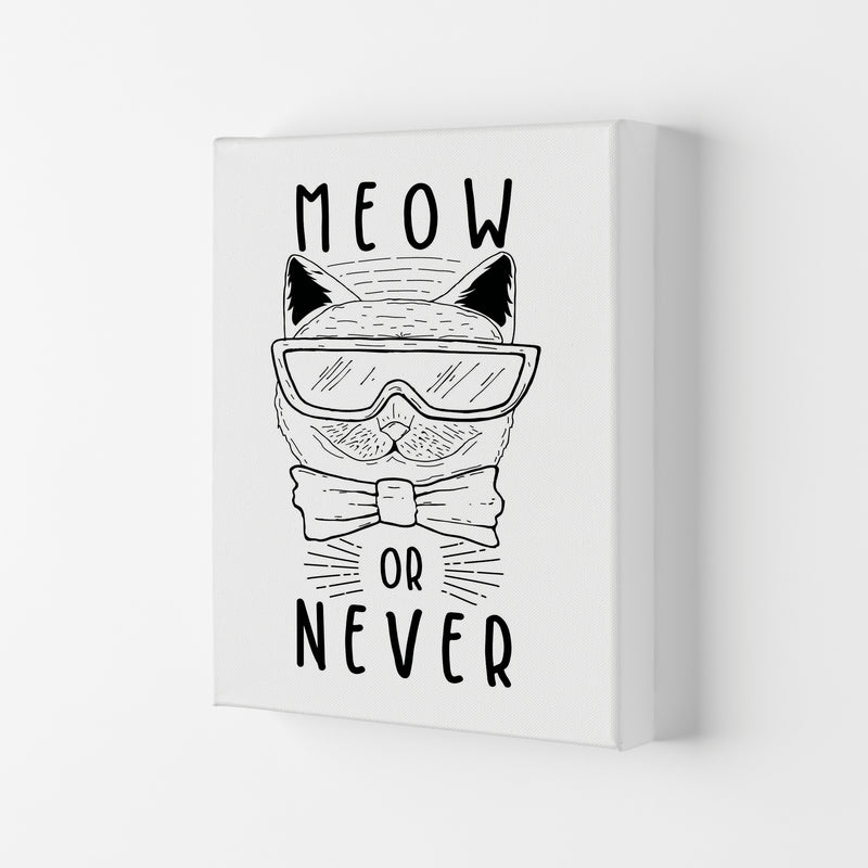 Meow Or Never Art Print by Jason Stanley Canvas