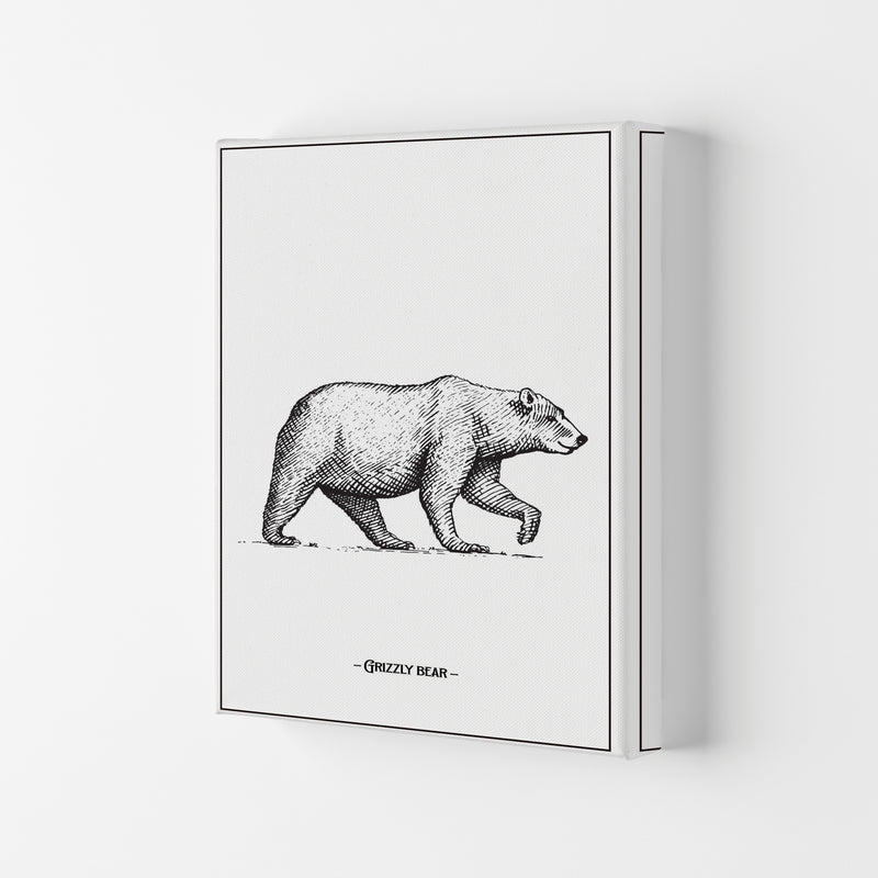 Grizzly Bear Art Print by Jason Stanley Canvas