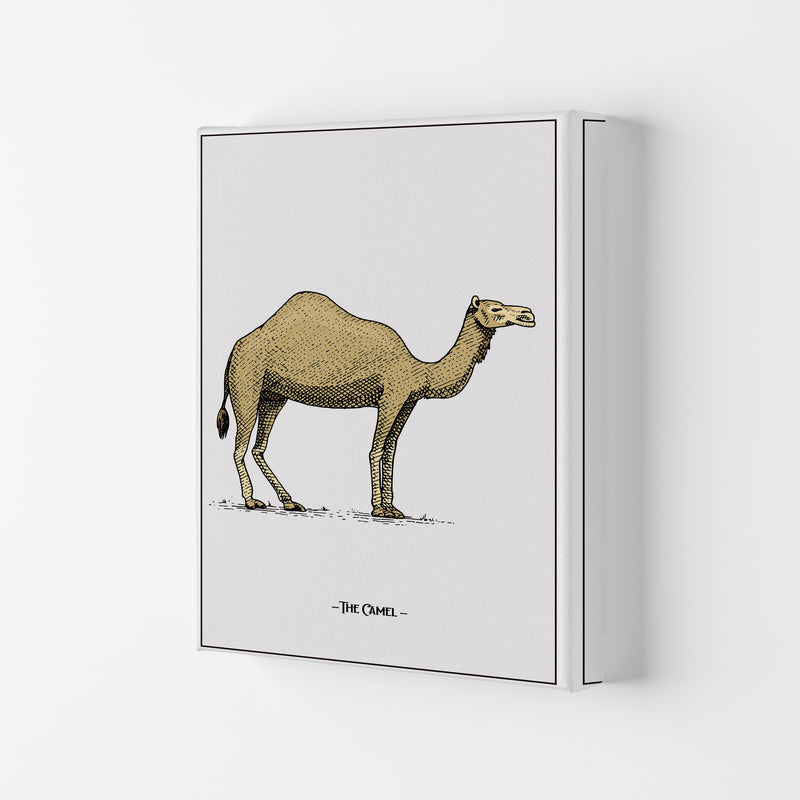 The Camel Art Print by Jason Stanley Canvas