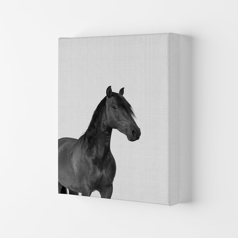 The Dark Horse Rides At Night Art Print by Jason Stanley Canvas