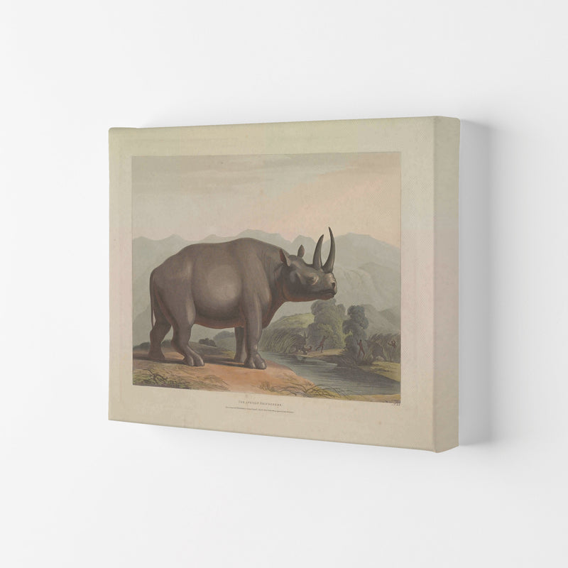 Vintage Rhino Illustration Art Print by Jason Stanley