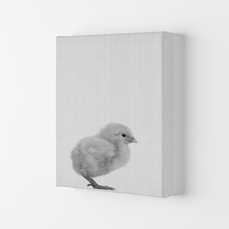Just Me And My Chick Copy Art Print by Jason Stanley Canvas