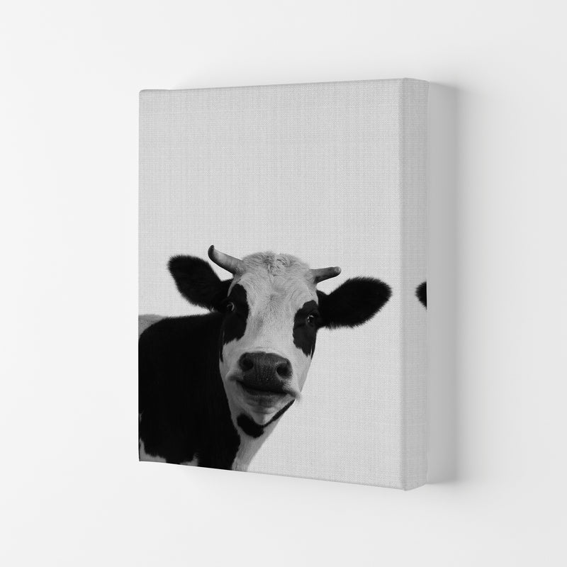 Holy Cow Art Print by Jason Stanley Canvas