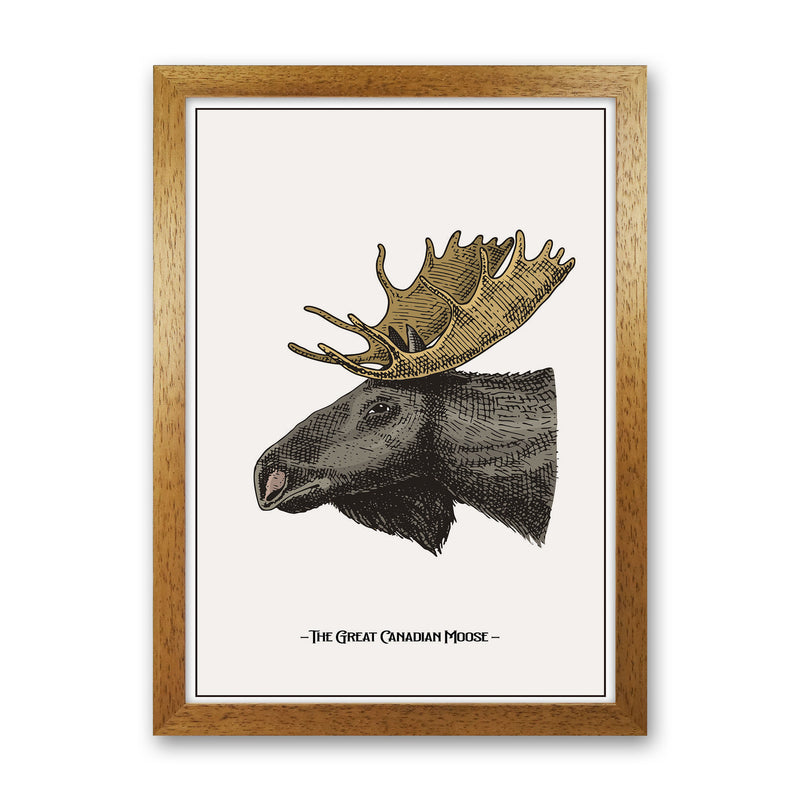 The Great Canadian Moose Art Print by Jason Stanley Oak Grain