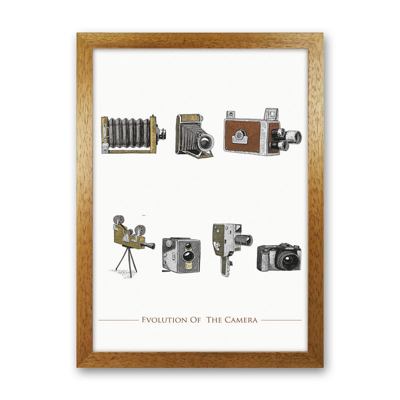 Evolution Of The Camera Art Print by Jason Stanley Oak Grain