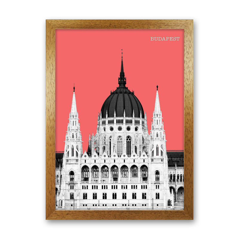 Halftone Budapest Red Art Print by Jason Stanley Oak Grain