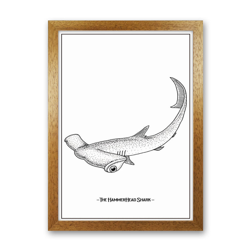 The Hammerhead Shark Art Print by Jason Stanley Oak Grain