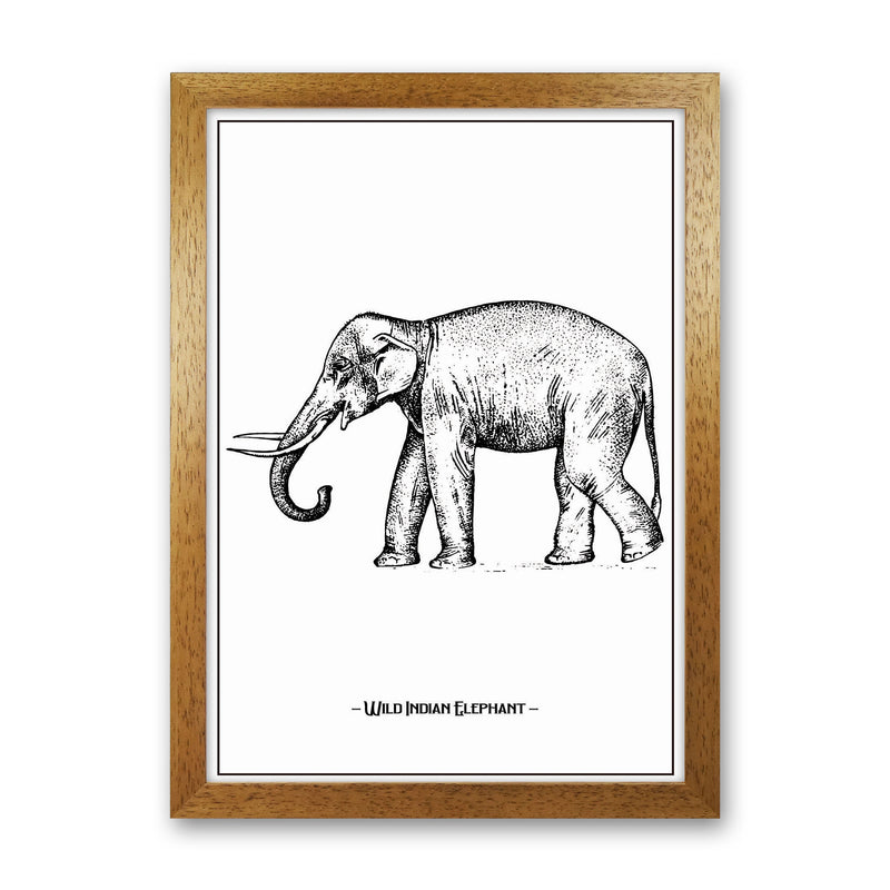 Wild Indian Elephant Art Print by Jason Stanley Oak Grain