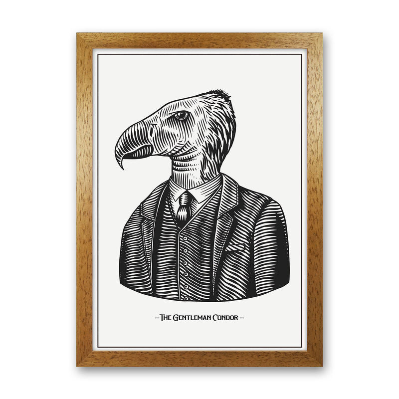 The Gentleman Condor Art Print by Jason Stanley Oak Grain