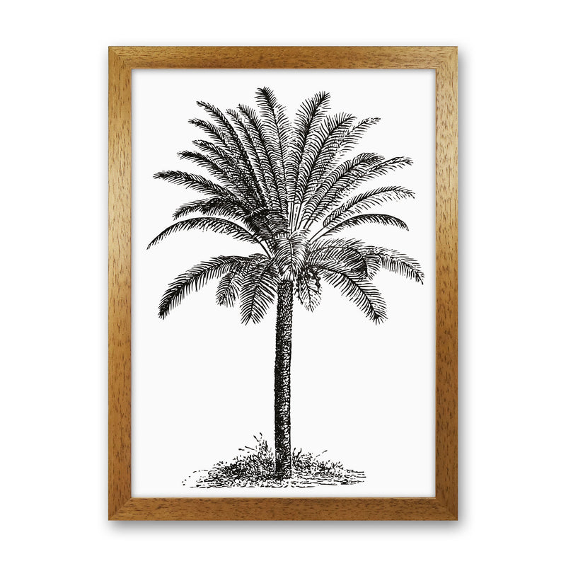 Vintage Palm Tree Art Print by Jason Stanley Oak Grain
