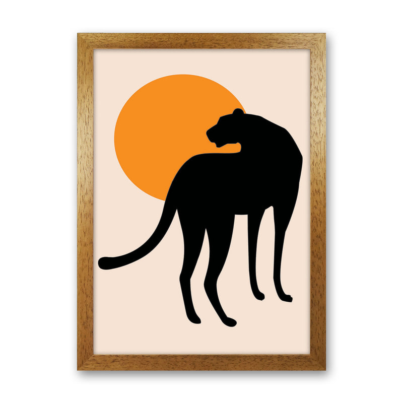 Leopard Sun Poster Art Print by Jason Stanley Oak Grain