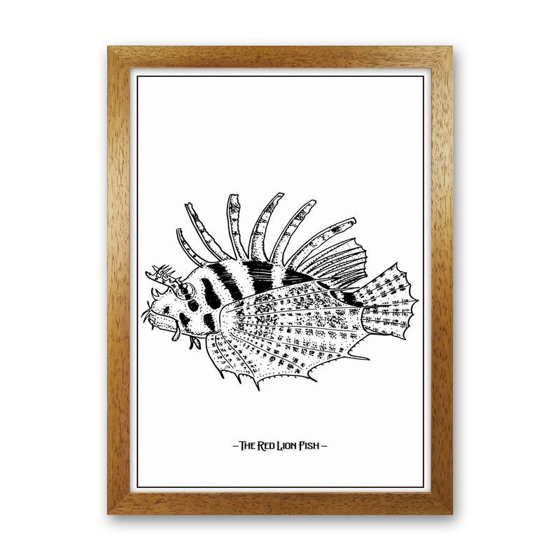 The Red Lion Fish Art Print by Jason Stanley Oak Grain