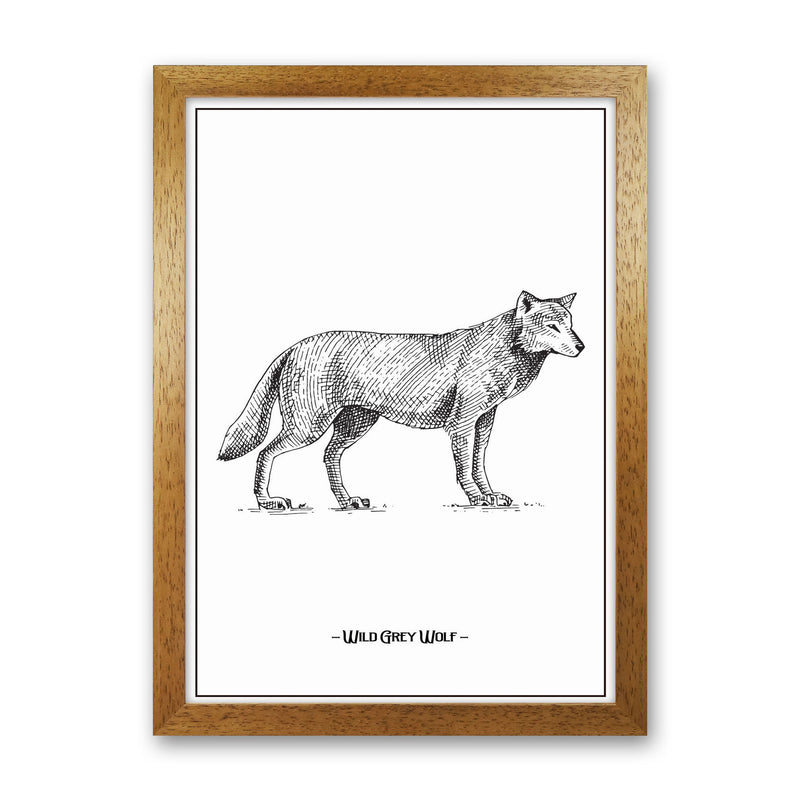 Wild Grey Wolf Art Print by Jason Stanley Oak Grain