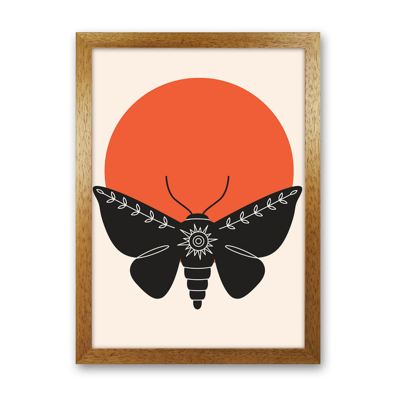 Sunshine Moth Art Print by Jason Stanley Oak Grain
