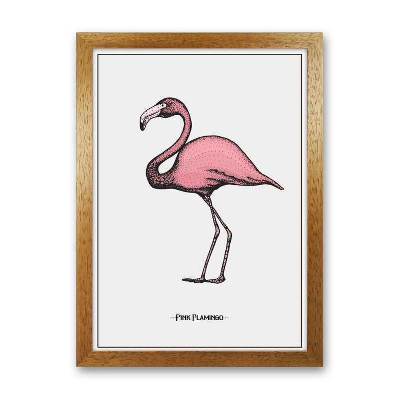 Pink Flamingo Art Print by Jason Stanley Oak Grain