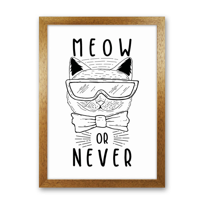 Meow Or Never Art Print by Jason Stanley Oak Grain