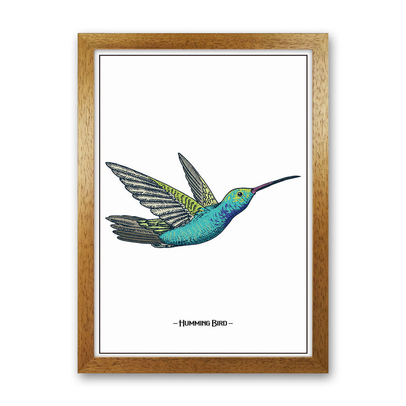 Humming Bird Art Print by Jason Stanley Oak Grain