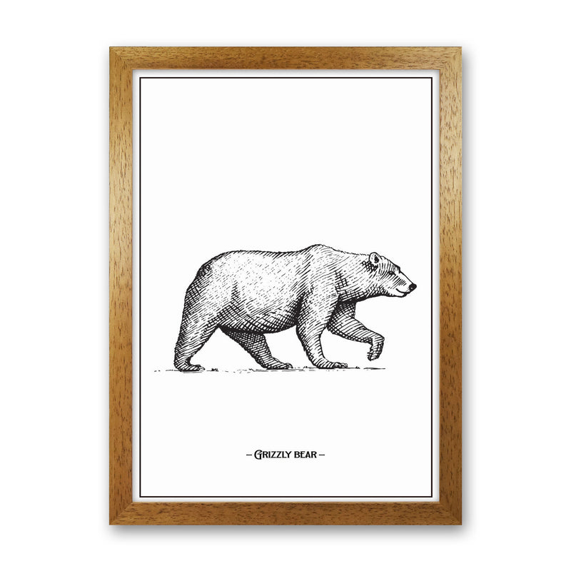 Grizzly Bear Art Print by Jason Stanley Oak Grain