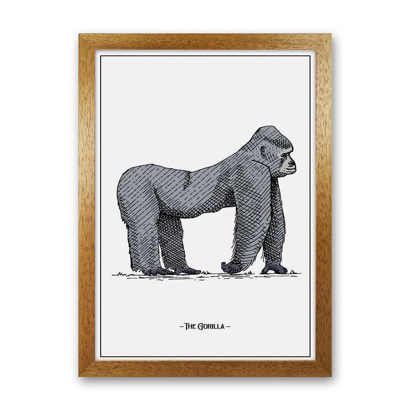 The Gorilla Art Print by Jason Stanley Oak Grain