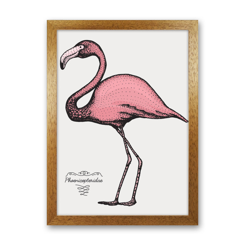 Flamingo Art Print by Jason Stanley Oak Grain