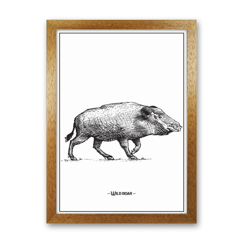 Wild Boar Art Print by Jason Stanley Oak Grain