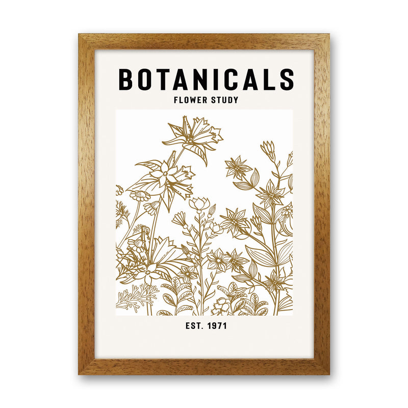 Botanicals Flower Study II Art Print by Jason Stanley Oak Grain