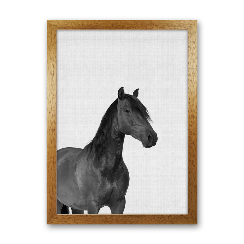 The Dark Horse Rides At Night Art Print by Jason Stanley Oak Grain