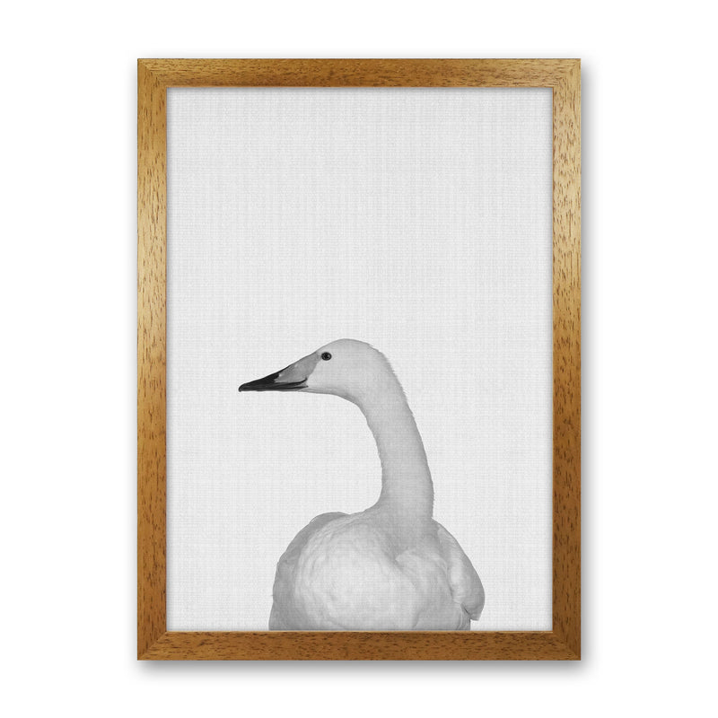 The Case Of The Lost Goose Art Print by Jason Stanley Oak Grain