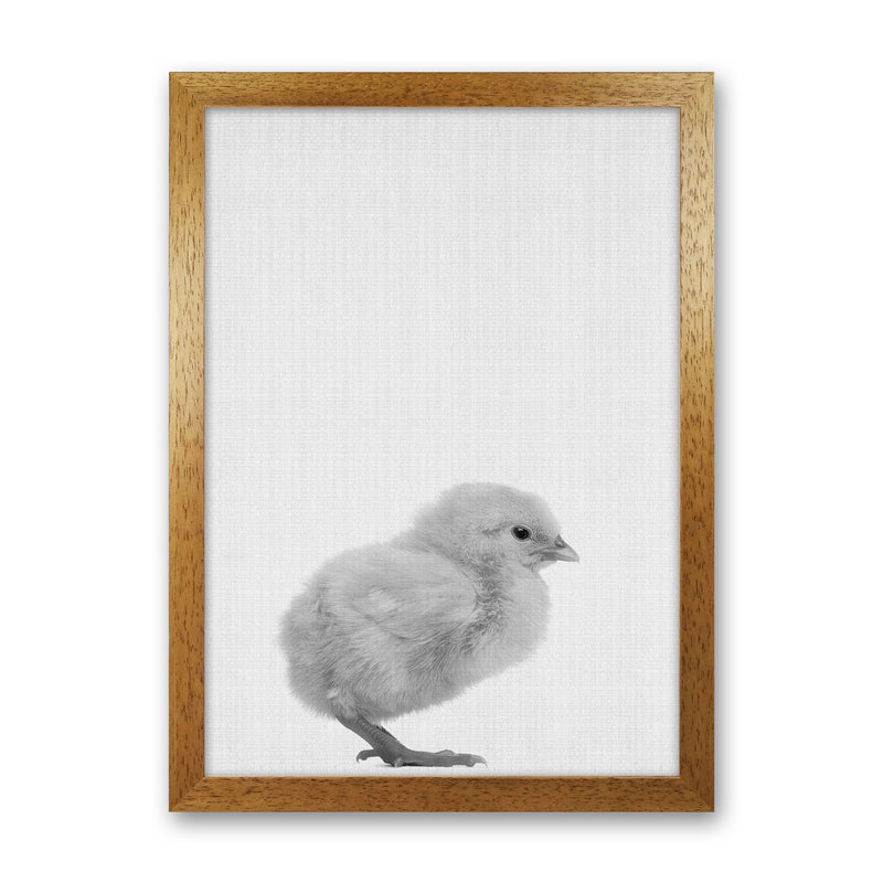 Just Me And My Chick Copy Art Print by Jason Stanley Oak Grain