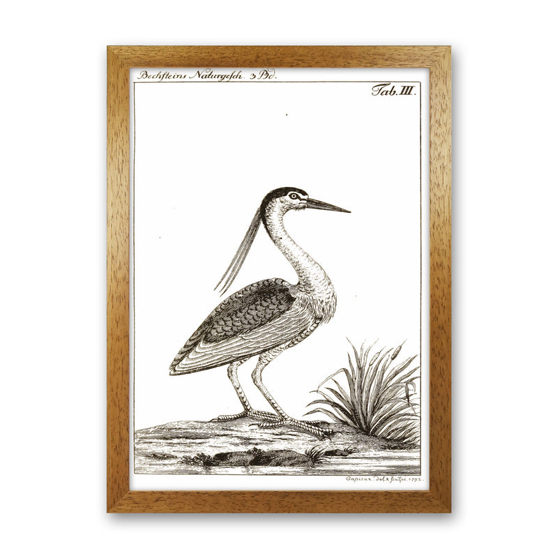 Vintage Hunting Bird Art Print by Jason Stanley Oak Grain