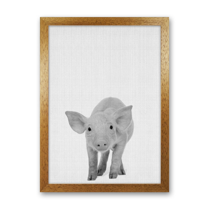 The Cutest Pig Art Print by Jason Stanley Oak Grain