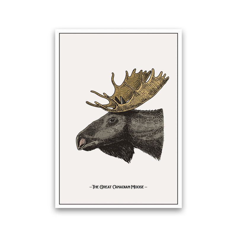 The Great Canadian Moose Art Print by Jason Stanley Print Only