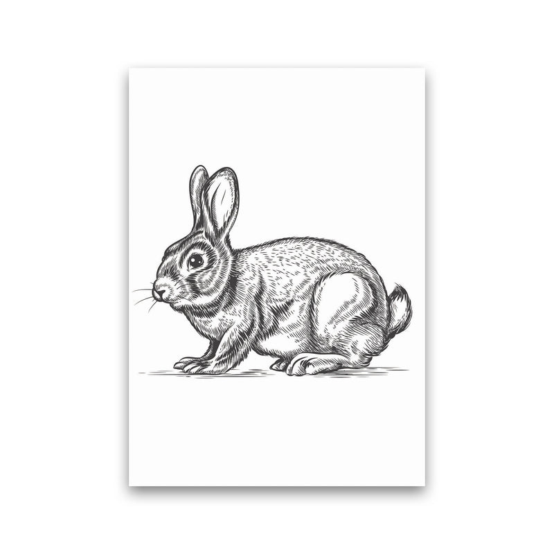 Watch Out For The Bunny Art Print by Jason Stanley Print Only