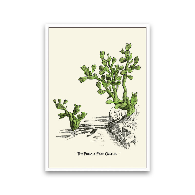 The Prickly Pear Cactus Art Print by Jason Stanley Print Only
