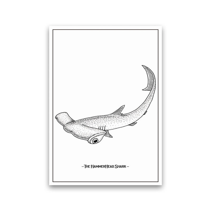 The Hammerhead Shark Art Print by Jason Stanley Print Only
