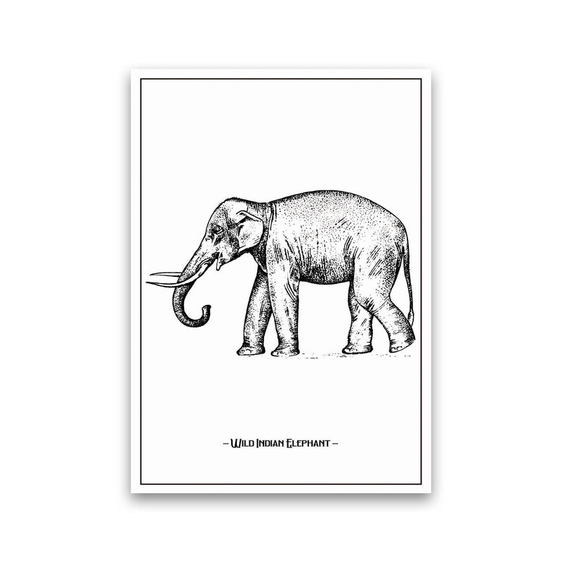 Wild Indian Elephant Art Print by Jason Stanley Print Only