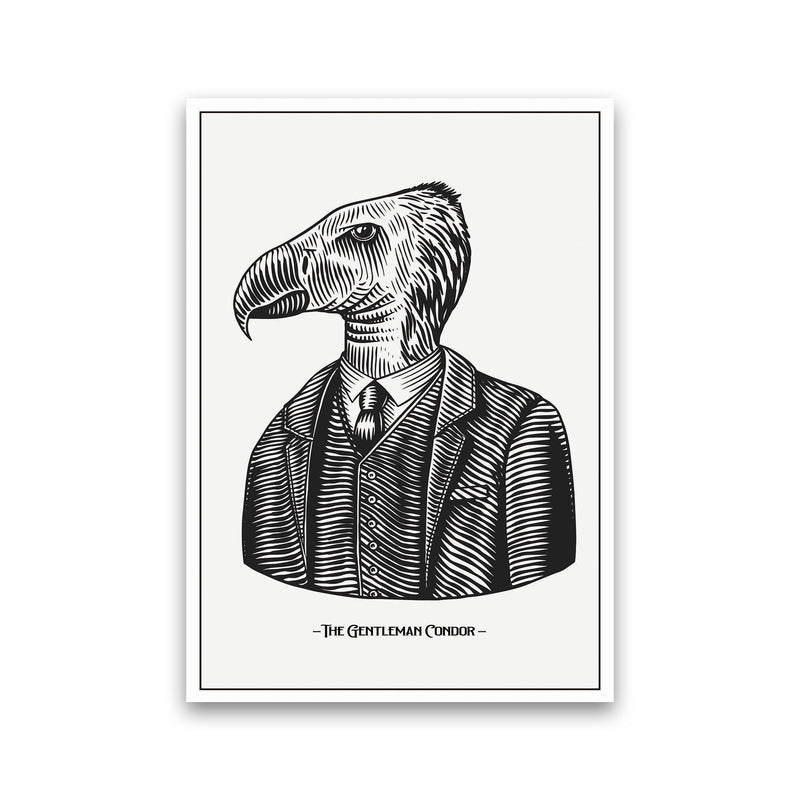 The Gentleman Condor Art Print by Jason Stanley Print Only