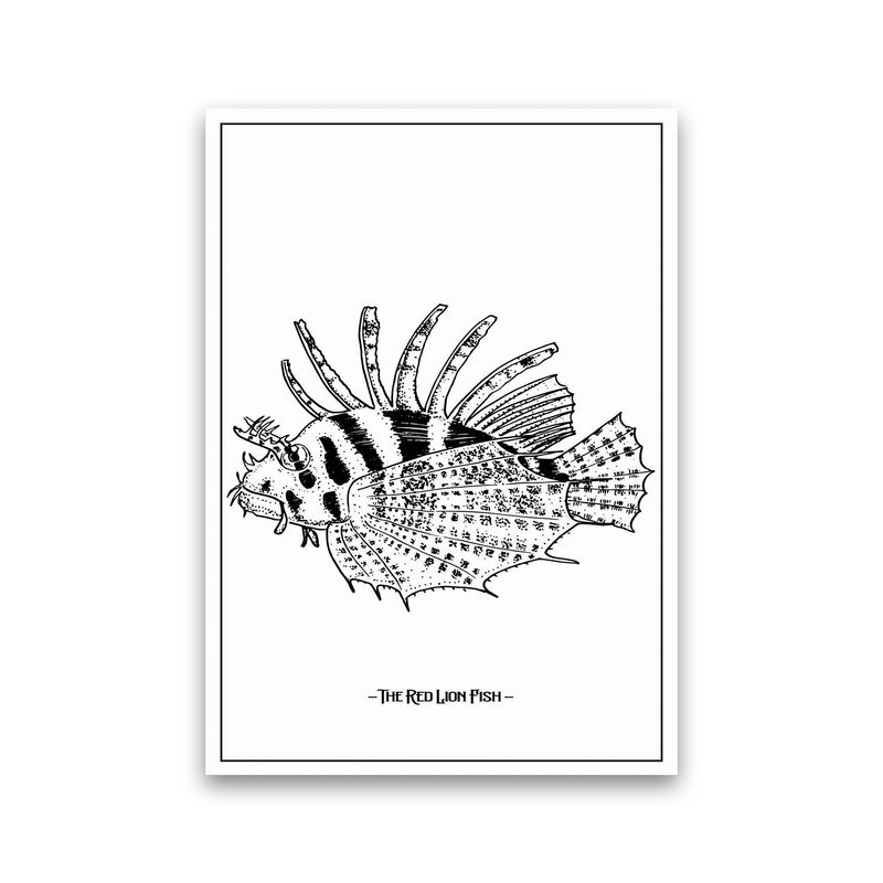 The Red Lion Fish Art Print by Jason Stanley Print Only