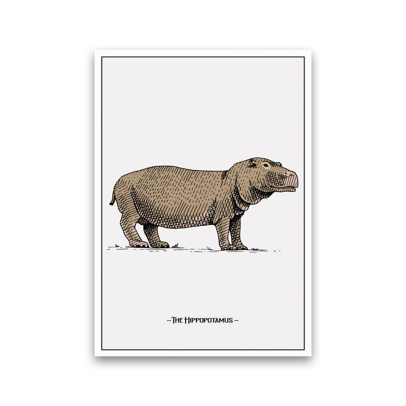 The Hippopotamus Art Print by Jason Stanley Print Only