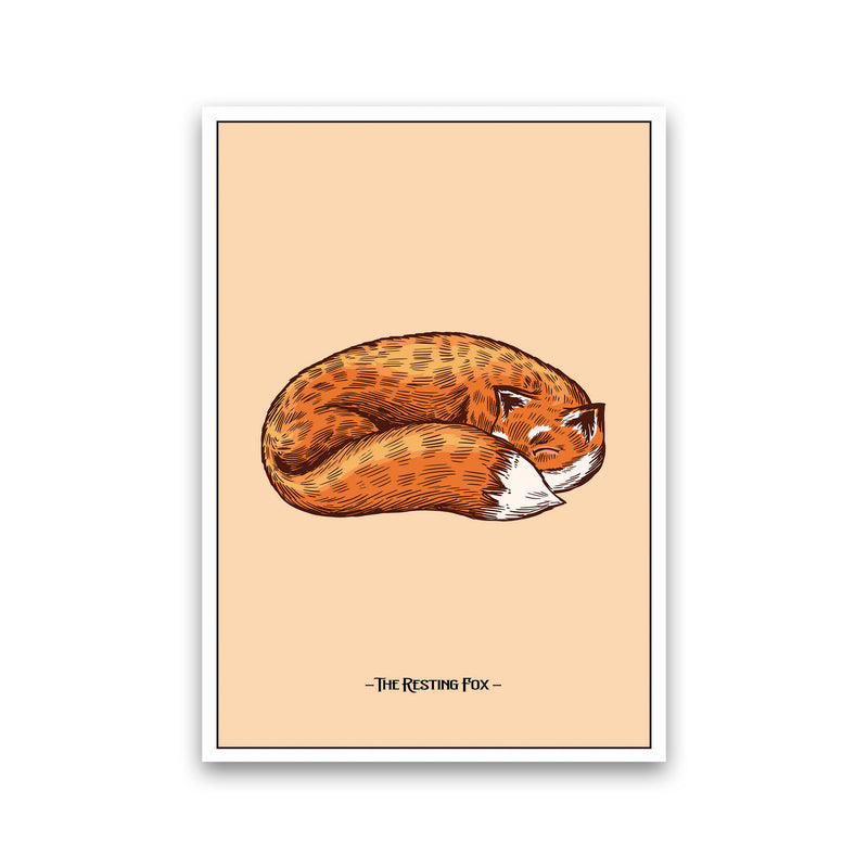 The Resting Fox Art Print by Jason Stanley Print Only