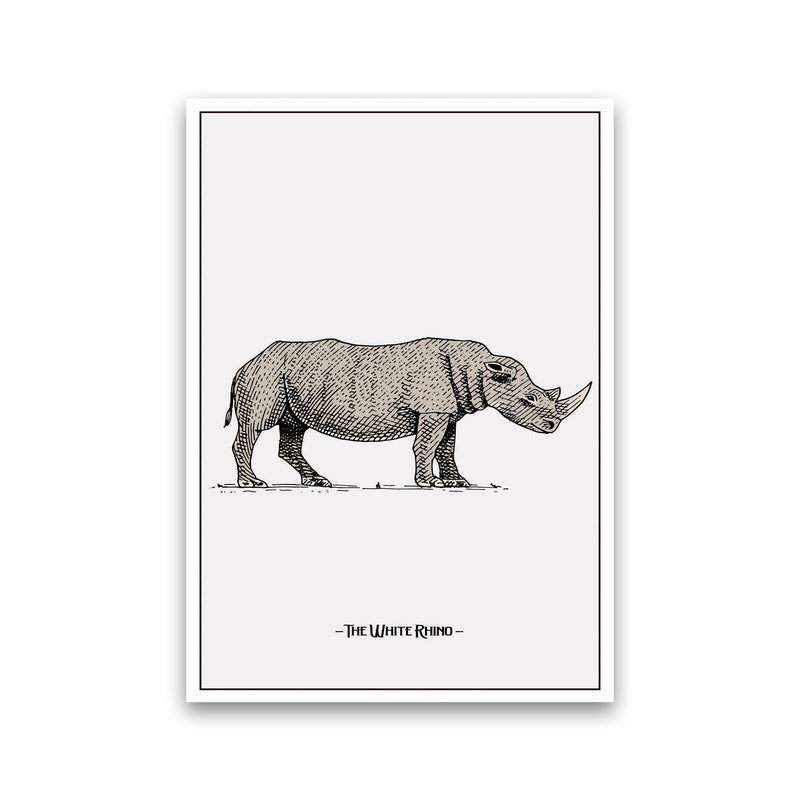 The White Rhino Art Print by Jason Stanley Print Only