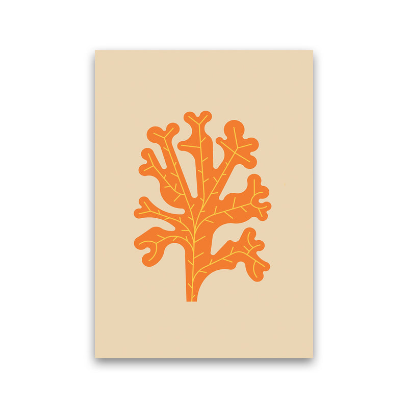Orange Seaweed Art Print by Jason Stanley Print Only