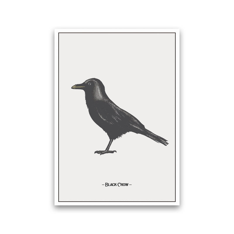 The Black Crow Art Print by Jason Stanley Print Only