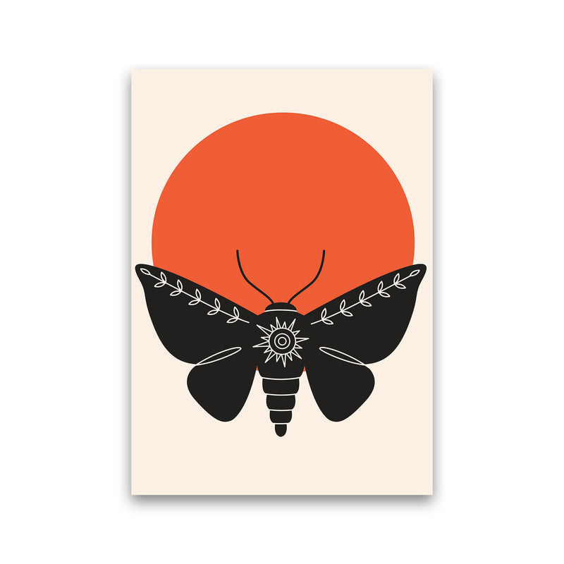 Sunshine Moth Art Print by Jason Stanley Print Only
