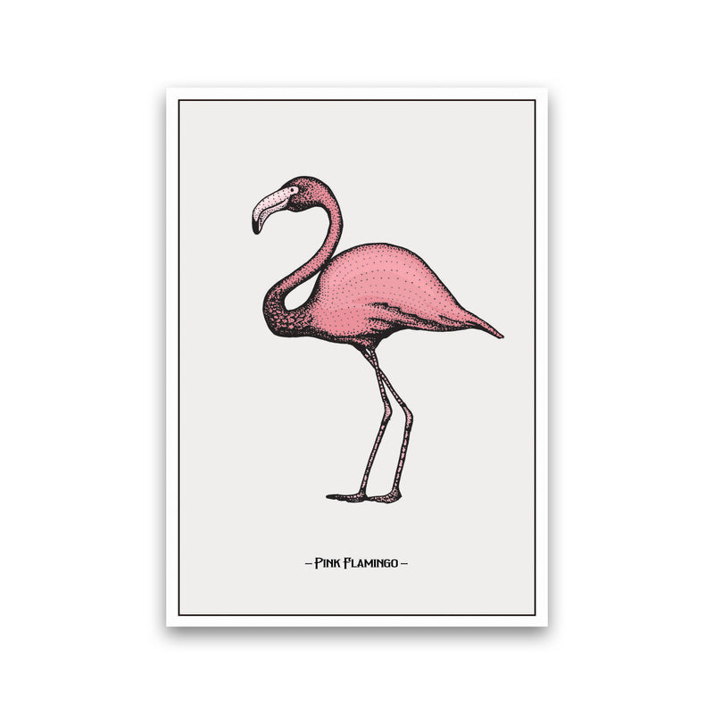 Pink Flamingo Art Print by Jason Stanley Print Only