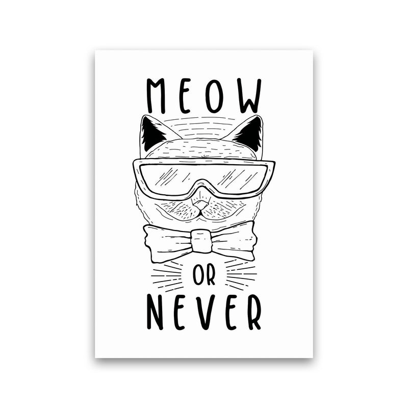 Meow Or Never Art Print by Jason Stanley Print Only